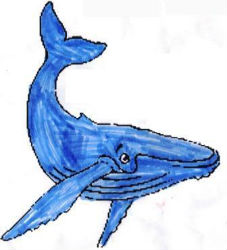 baleine3