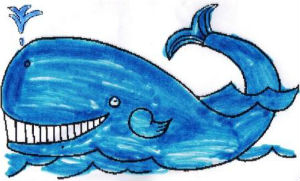 baleine2