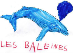 baleine1