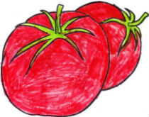 tomate